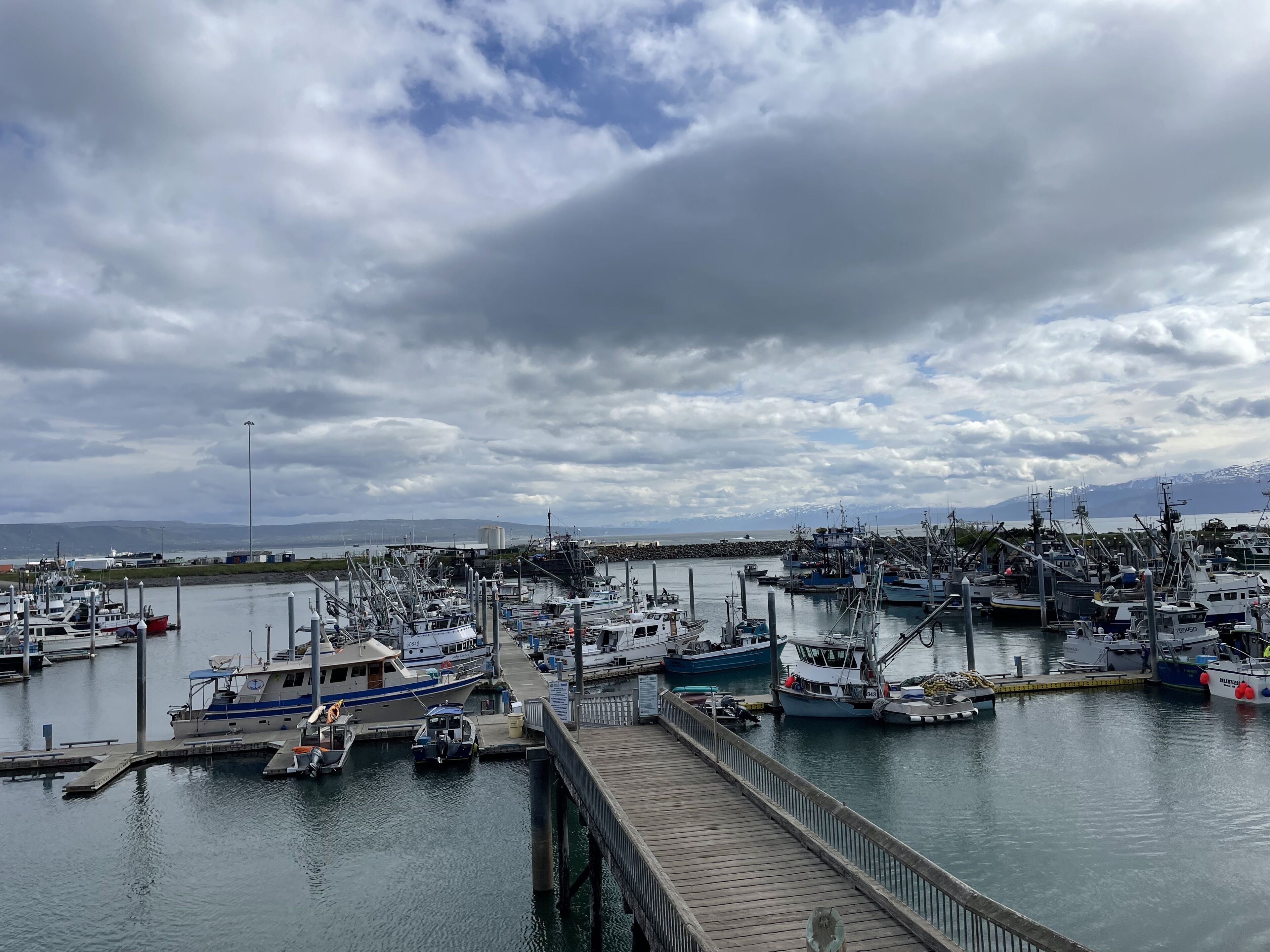 A marina with multiple boats docked, a wooden pier, and a cloudy sky.