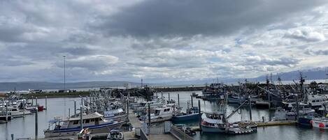 A marina with multiple boats docked, a wooden pier, and a cloudy sky.
