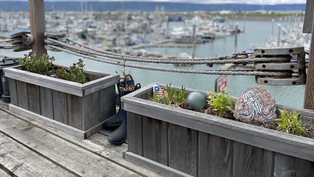 Eine Holzterrasse mit Pflanzgefäßen, Blumen und Blick auf eine Marina mit Booten.