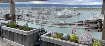 Beautiful Homer Spit Vacation Rental Overlooking Harbor