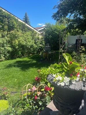 Property grounds - Cozy Suite next to Nose Hill Park 10 min airport 15 min downtown. Pet friendly! (Calgary)