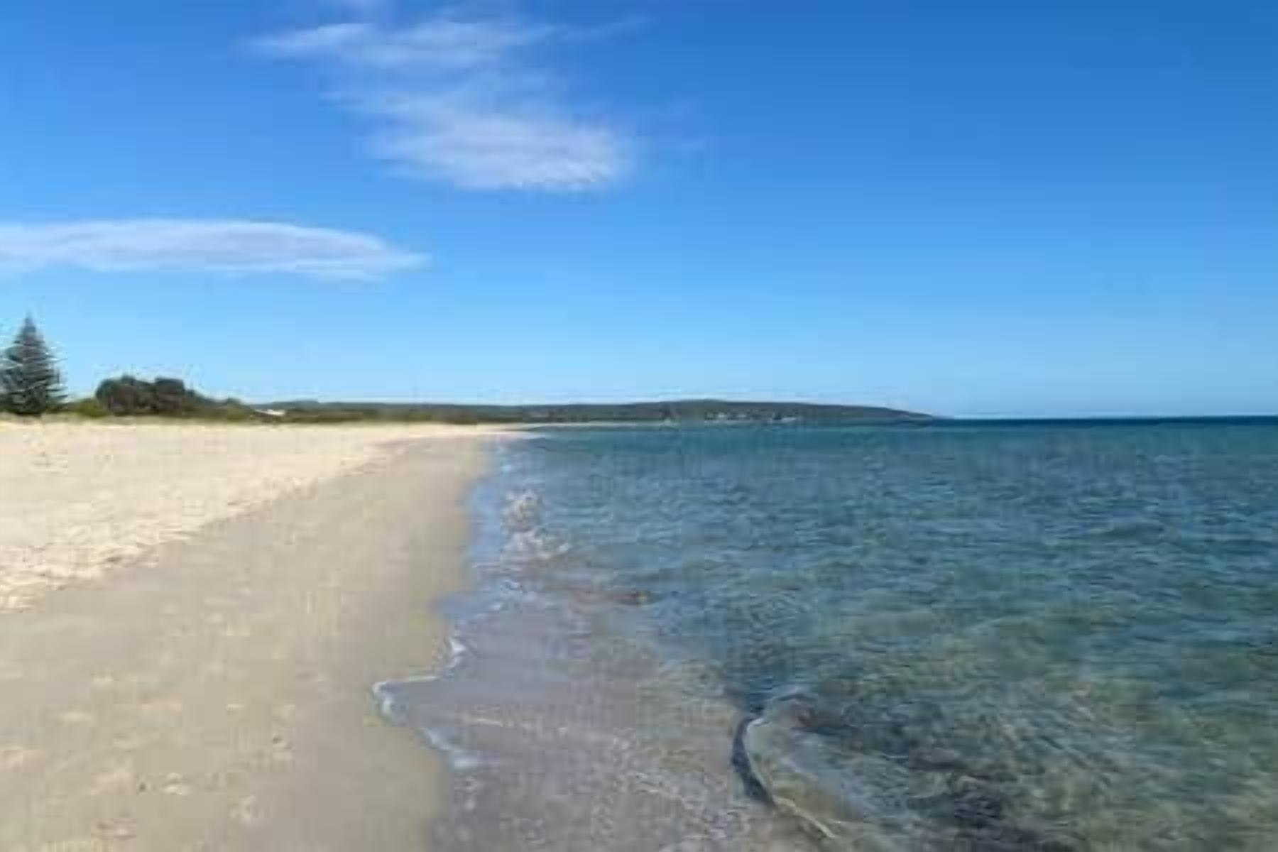 Tovalloles de platja 