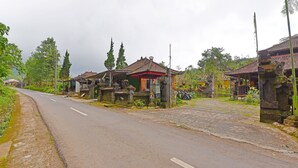 Un camino rural con casas tradicionales, cielo despejado y un sendero de piedra.