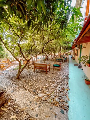 Garden - Mayouli Nature Retreat (Batroun)