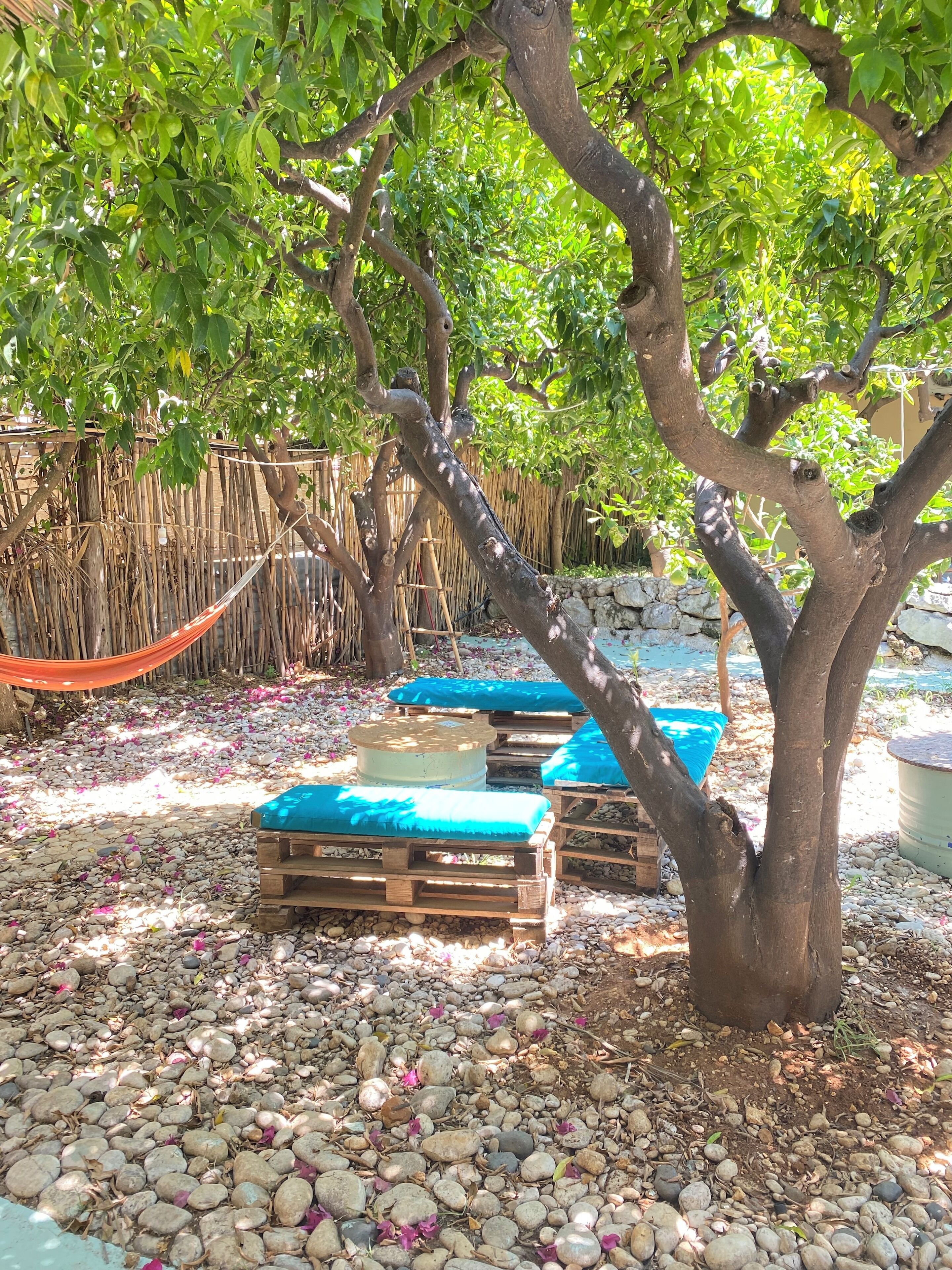 Un árbol con un banco debajo, rodeado de piedras y una cerca de bambú.
