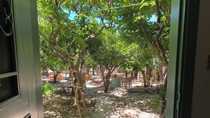 An outdoor area with trees, a stone pathway, and scattered seating. - Mayouli Nature Retreat (Batroun)