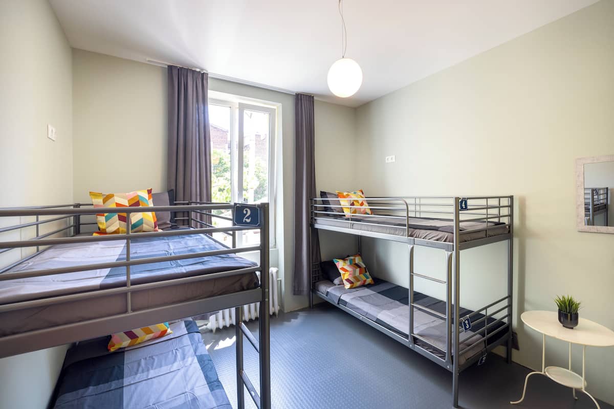 A dormitory room with bunk beds, a small table with a plant, and a window with curtains.