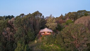 A secluded cabin surrounded by dense forest, with a large canopy structure providing shade.