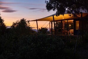 Property grounds - The Enchanted Retreat | Glamping Tent (Havelock North)