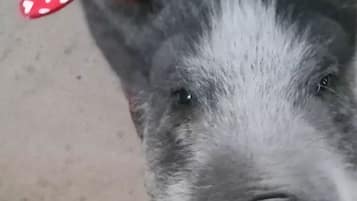 DĂ©tail de lâintĂ©rieur