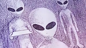 A microscopic view of cells with distinct nuclei and cytoplasm. - Off grid camping, bring tents or camper van. The only frill is a clean outhouse! (Joshua Tree)