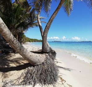 A beach with clear turquoise water, a sandy shore, and palm trees. - Villa Canopée - Suite Jardin - Sea view & private SPA (Les Trois-Îlets)