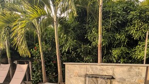 A swimming pool with a water feature, surrounded by palm trees and a stone wall. - Villa Canopée - Suite Jardin - Sea view & private SPA (Les Trois-Îlets)