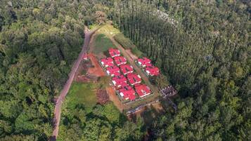 Eine Luftaufnahme eines bewaldeten Gebietes mit einer Ansammlung von Gebäuden mit roten Dächern, wahrscheinlich ein Resort oder eine Lodge, umgeben von dichtem Wald.
