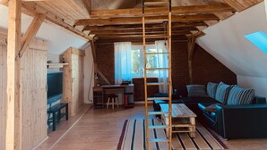 Een loft-achtige kamer met houten plafond, een hoogslaper, bureau, televisie en een bank.