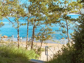A beach with trees and a clear view of the sea. - Baltic Sea, quiet vacation apartment  (23948 Elmenhorst)