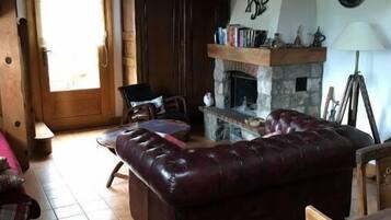 Cheminée, lecteur de DVD, livres, vidéothÚque