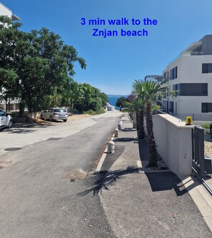 A street leading to a beach with a clear sky, palm trees, and modern buildings.