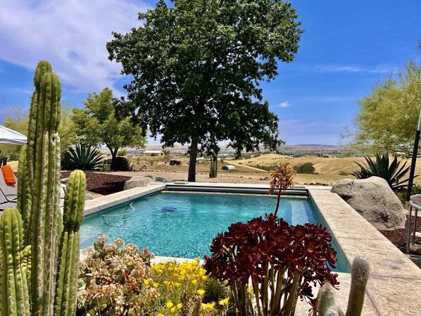 Pool - Lp1 Paso Robles Wine Estate Pool (Paso Robles)