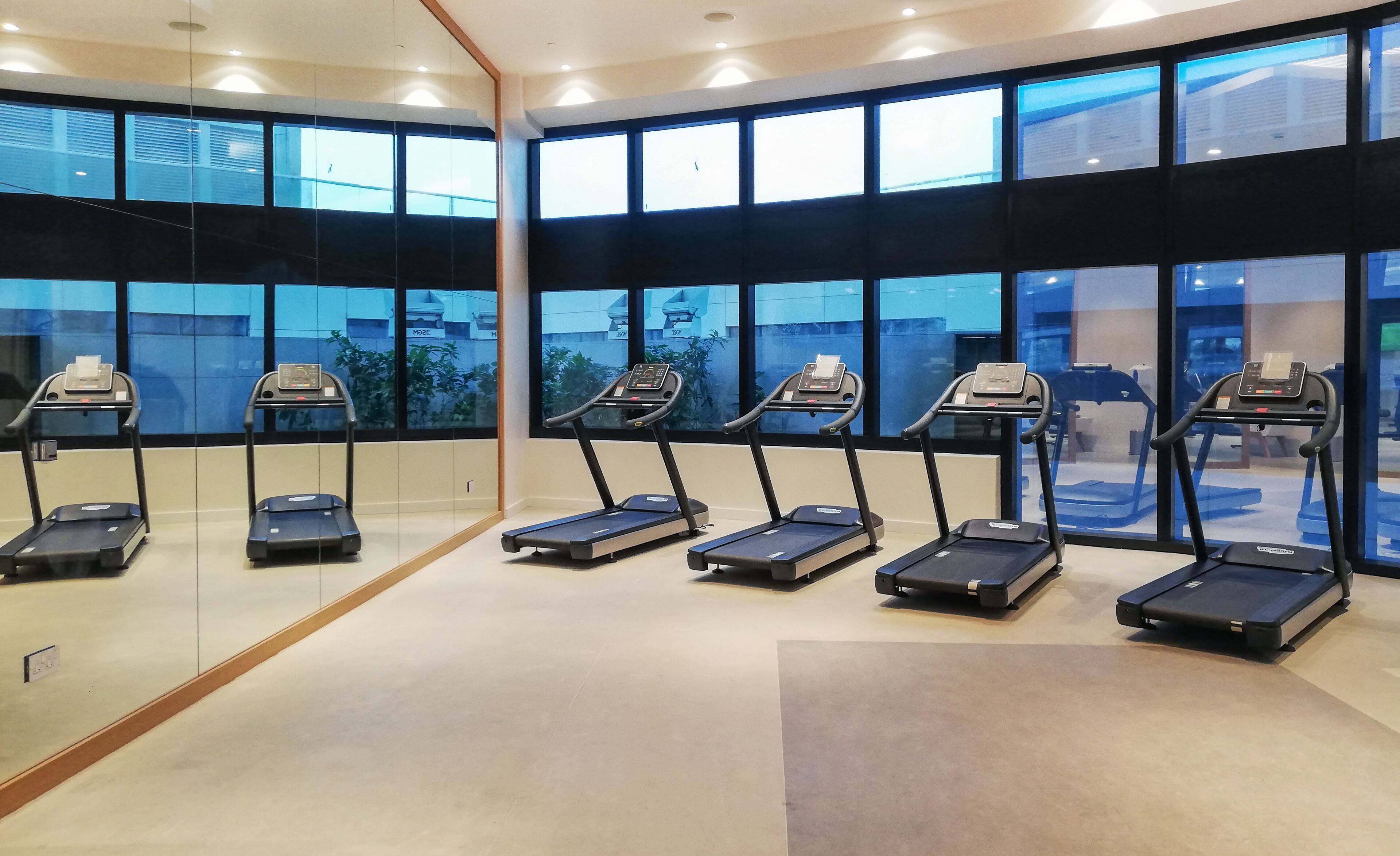 Un gimnasio con cintas de correr alineadas a lo largo de una pared con amplios ventanales.