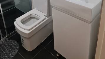 A modern bathroom with a toilet, sink, and a glass shower enclosure.