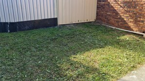 Une cour arrière clôturée, avec une pelouse verdoyante et un mur en briques.