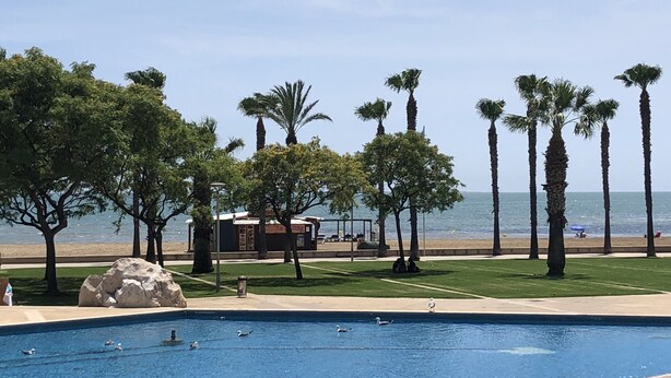 Une piscine avec des mouettes, des palmiers et une plage en arrière-plan.