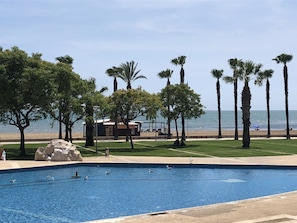 A swimming pool with seagulls, palm trees, and a beach in the background.