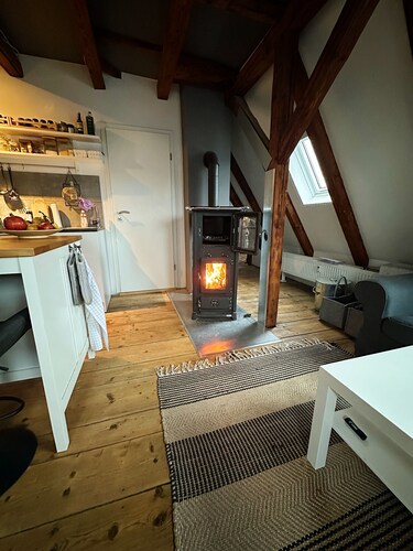Loft de la Belle au bois dormant
