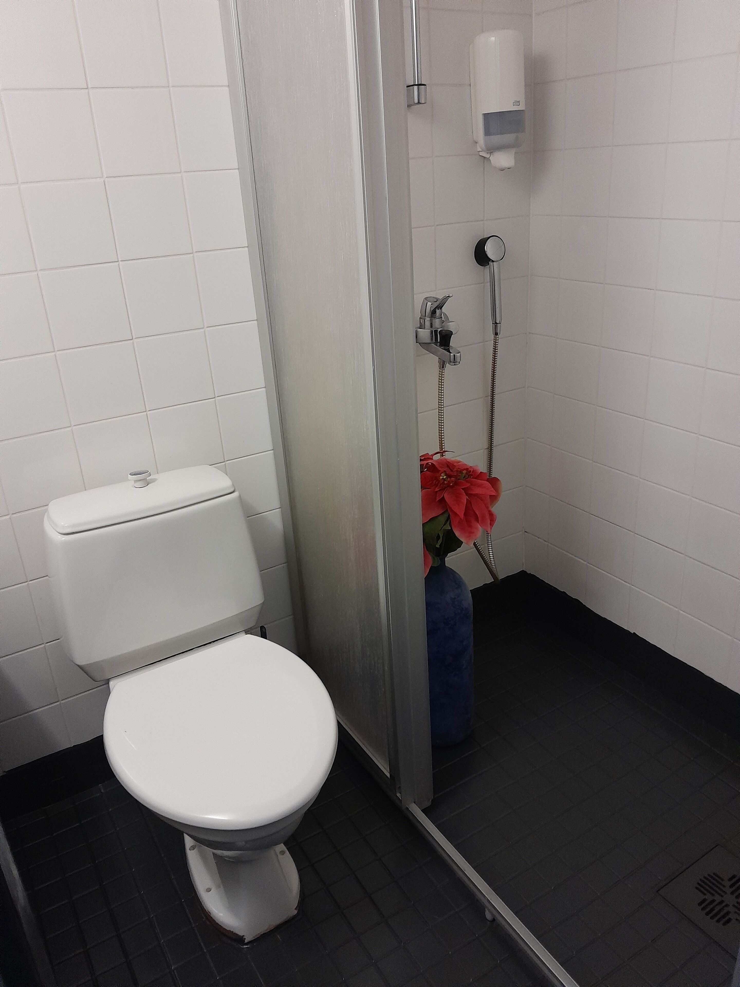 A bathroom with a white toilet, a shower enclosure, and a blue vase with red flowers.
