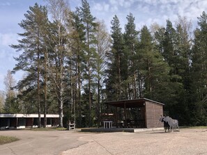A rustic cabin with a wooden structure and a covered outdoor area, surrounded by tall pine trees. - Leikari Bungalows (Kotka)