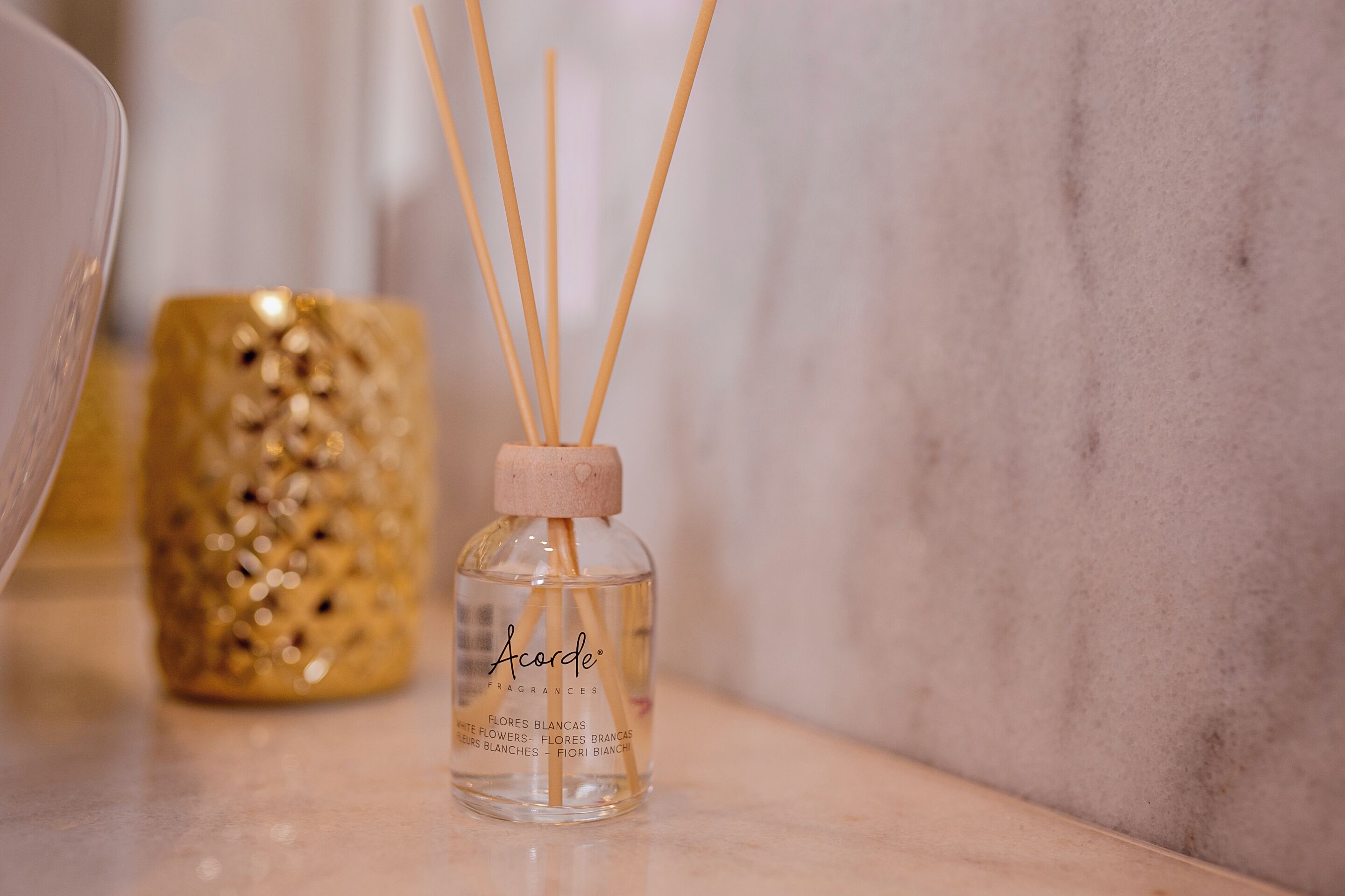 Foto - 262 Boutique Aliados