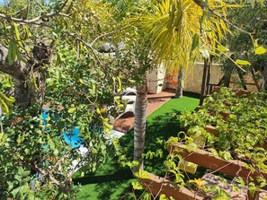 Un jardin luxuriant, avec une variété de plantes et un petit espace piscine.