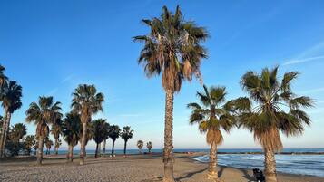 Playa en los alrededores