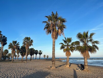 Charming apartment in Chilches