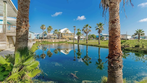 A serene outdoor area with a pond, palm trees, and a building with a white facade and a sloped roof. - The Oasis Pet Friendly Optional Golf Cart (Port Aransas)
