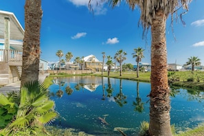 Property grounds - The Oasis Pet Friendly Optional Golf Cart (Port Aransas)