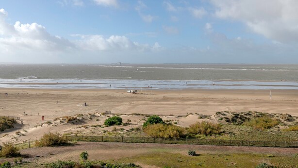 Een strand met een zandstrand, een hek en schaarse begroeiing.