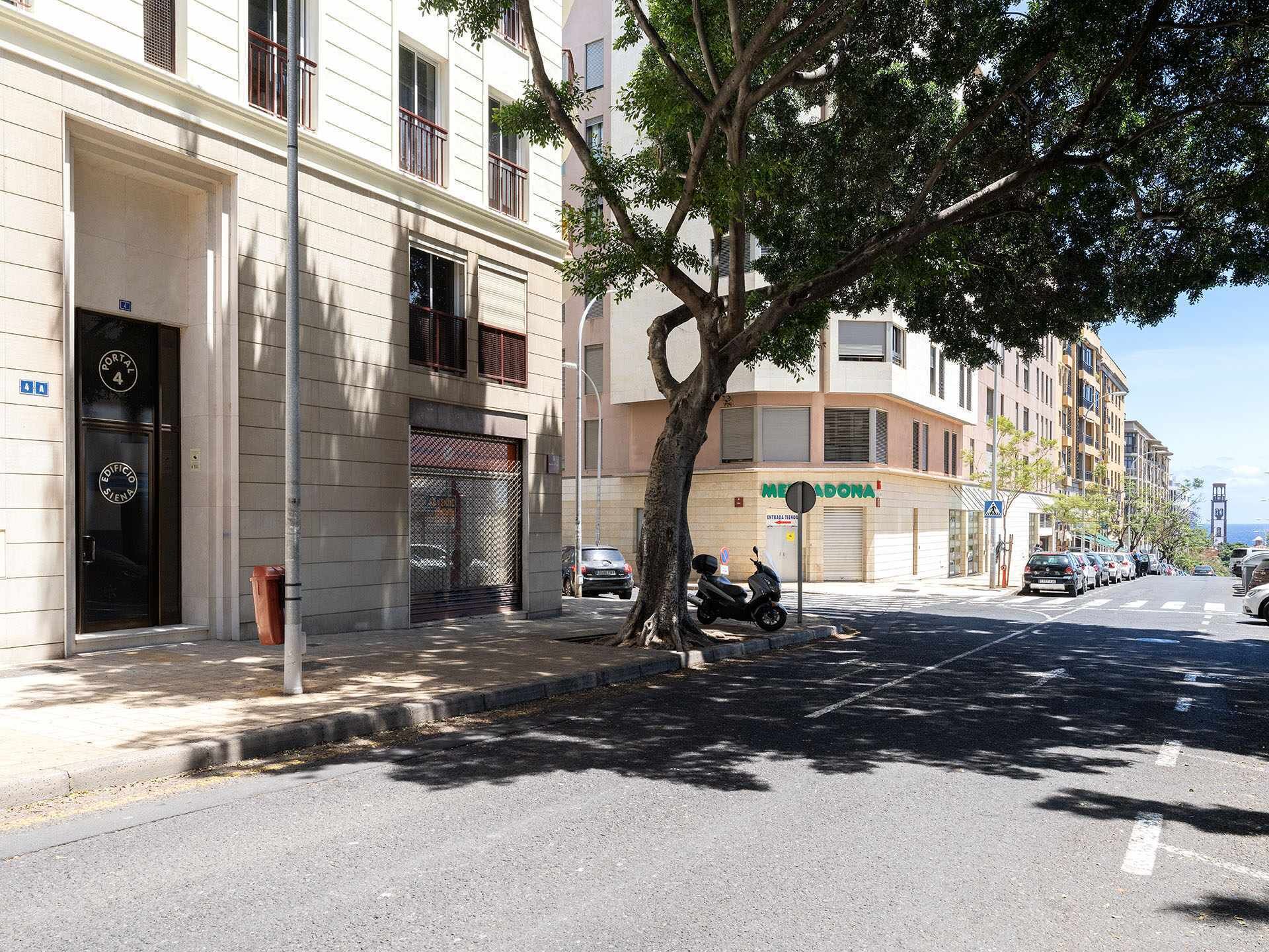 Vista de calle con un edificio identificado como 'METADONA' y un árbol en primer plano.