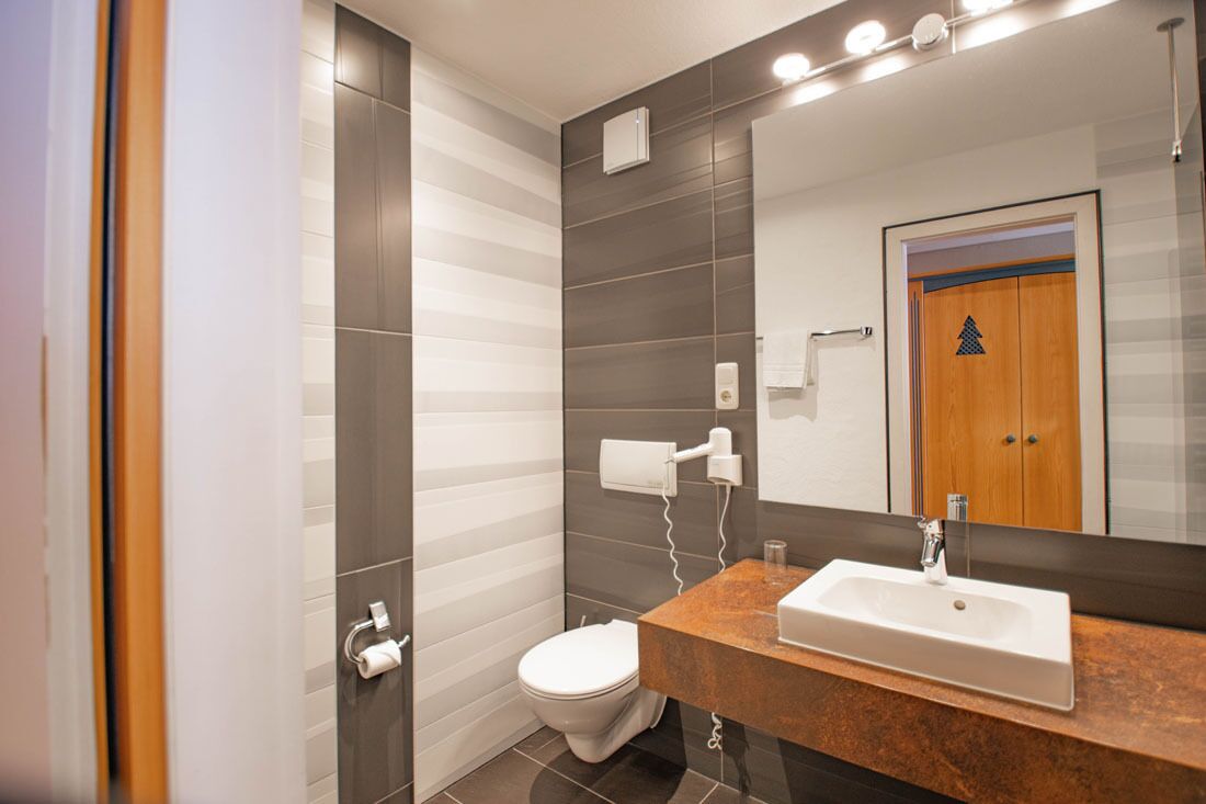 A modern bathroom with a rectangular sink, a toilet, and a large mirror.