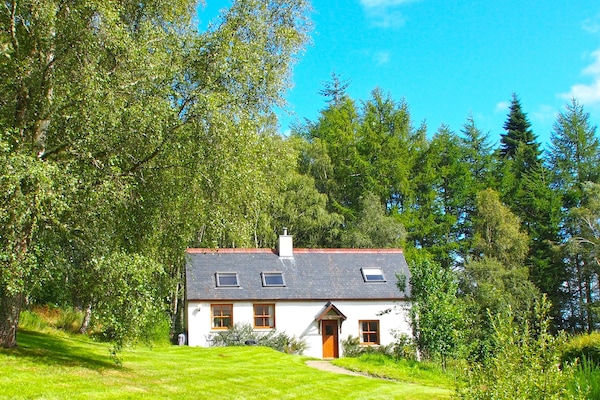 Ulkopuoli