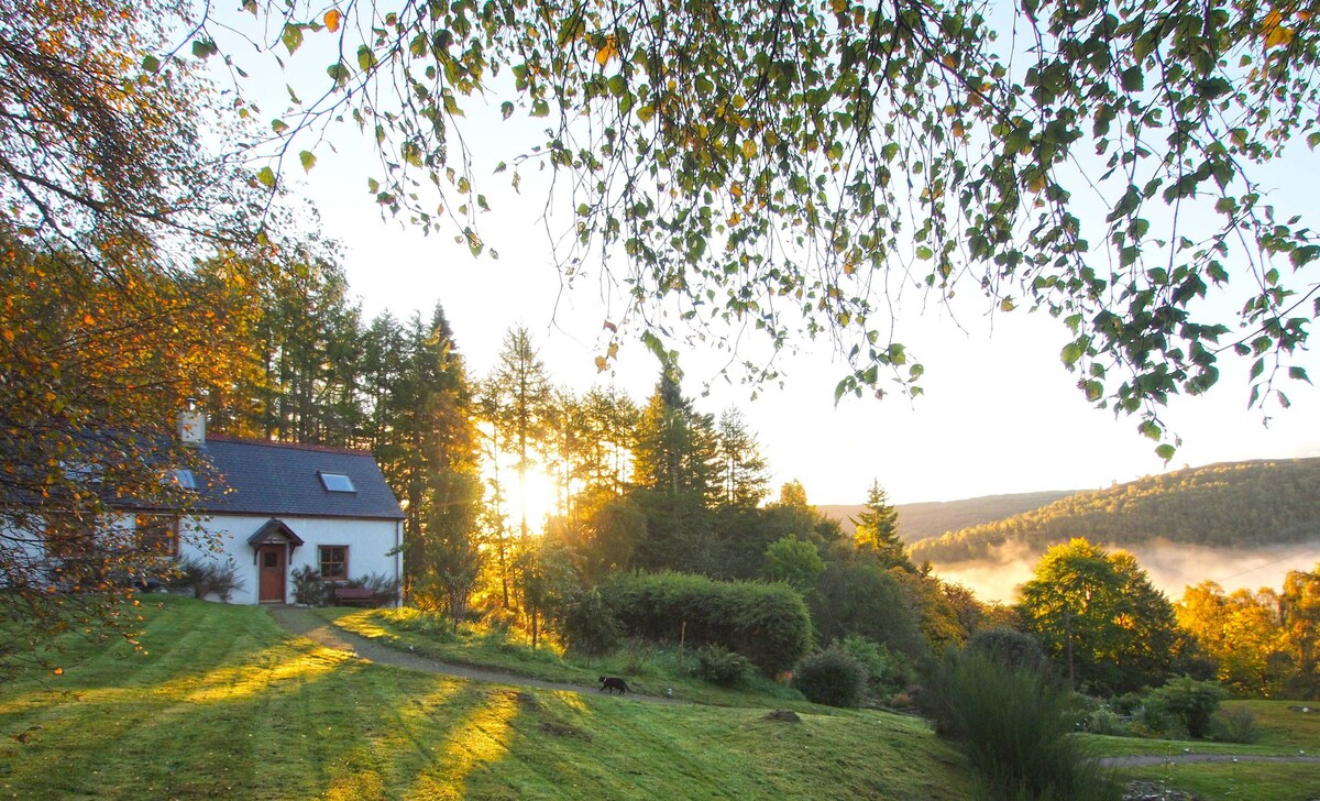 オーナーのプロフィール画像