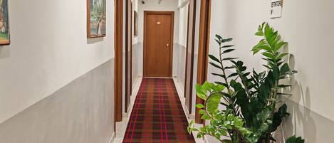 A hallway with a checkered carpet, a potted plant, and a door at the end.