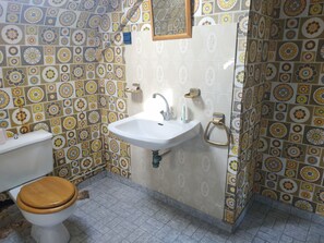 Shower, hair dryer