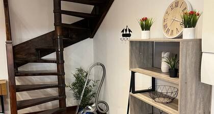 Beau duplex en plein cĆur de Vichy