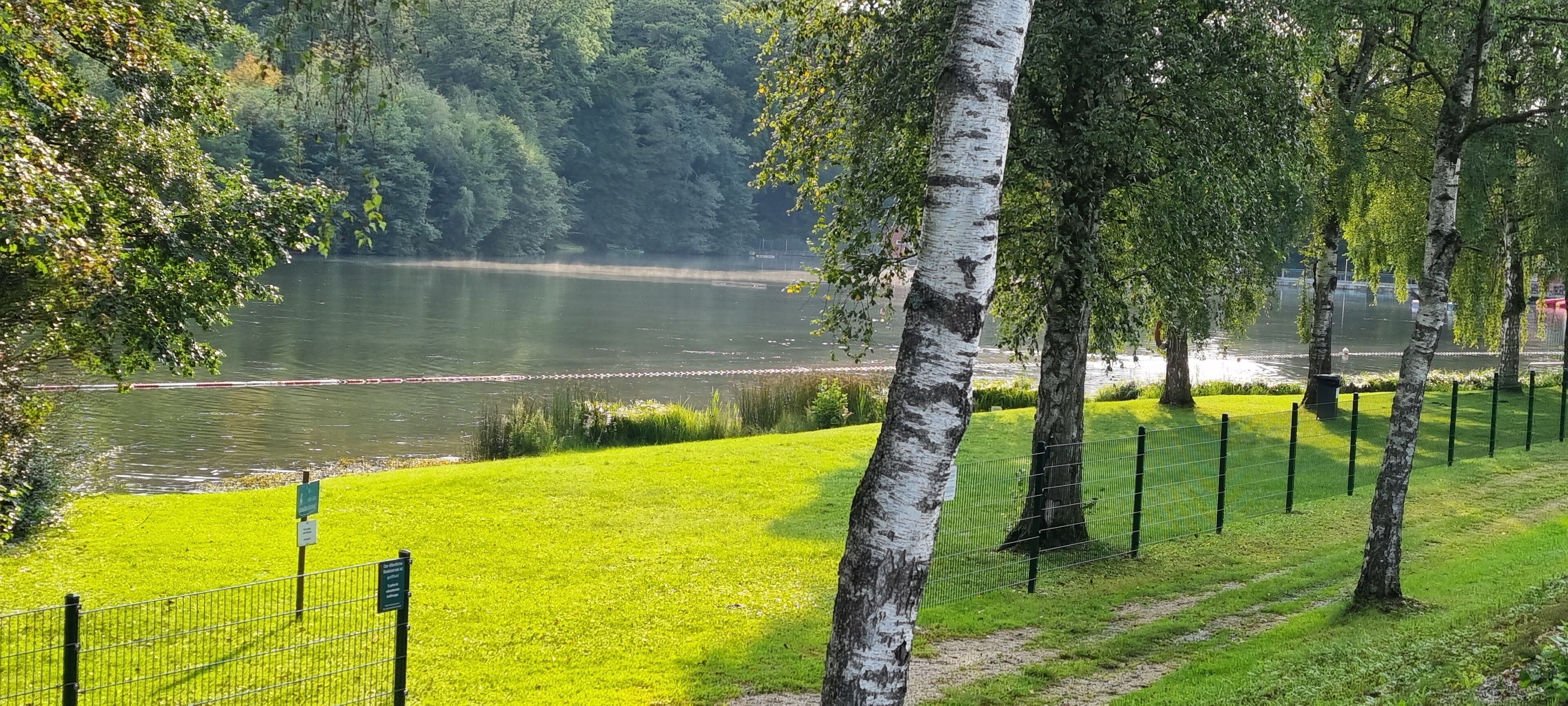 Un parc avec un lac, des bouleaux et un sentier délimité par une clôture.
