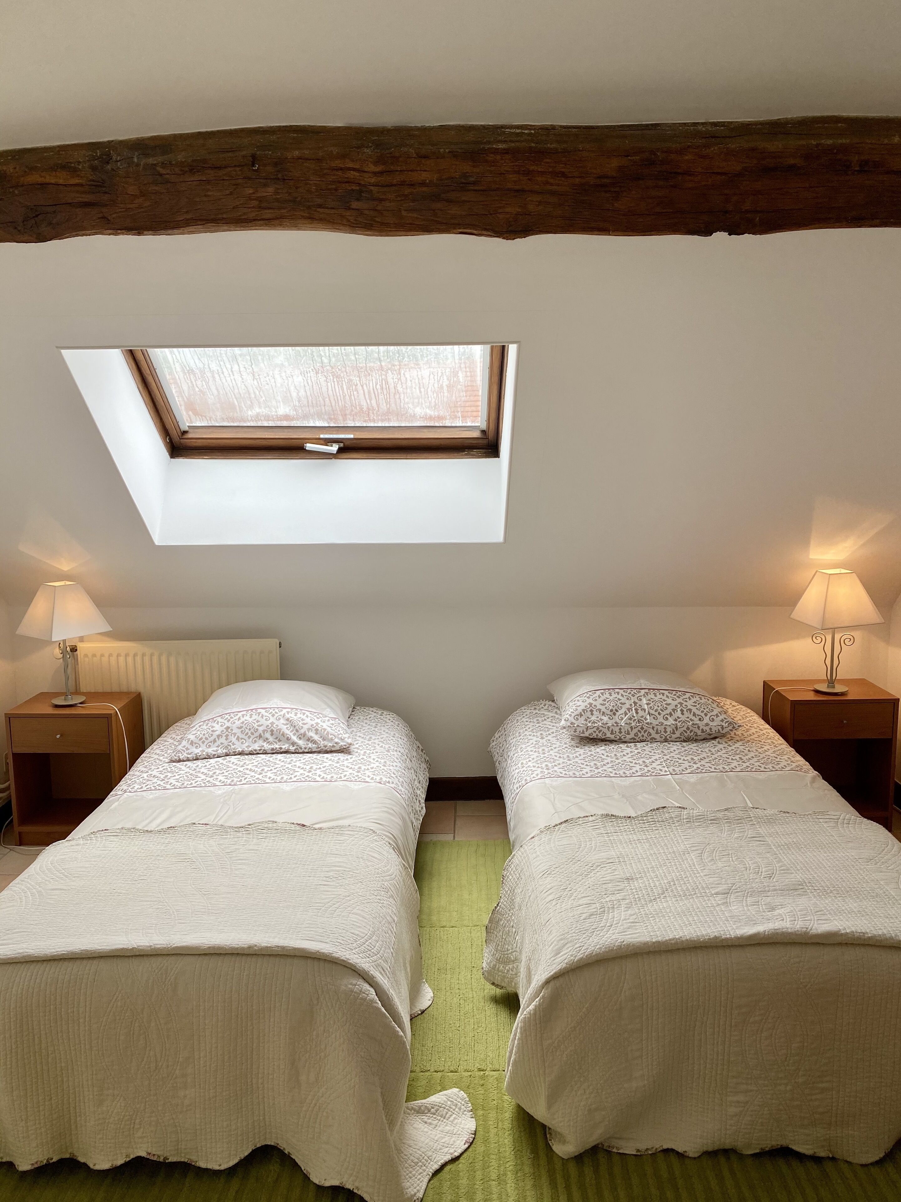 Een slaapkamer met twee bedden, een dakraam en een groen vloerkleed.
