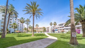 Een resort met palmbomen, een geplaveid pad en een bord met een hondenverbod.