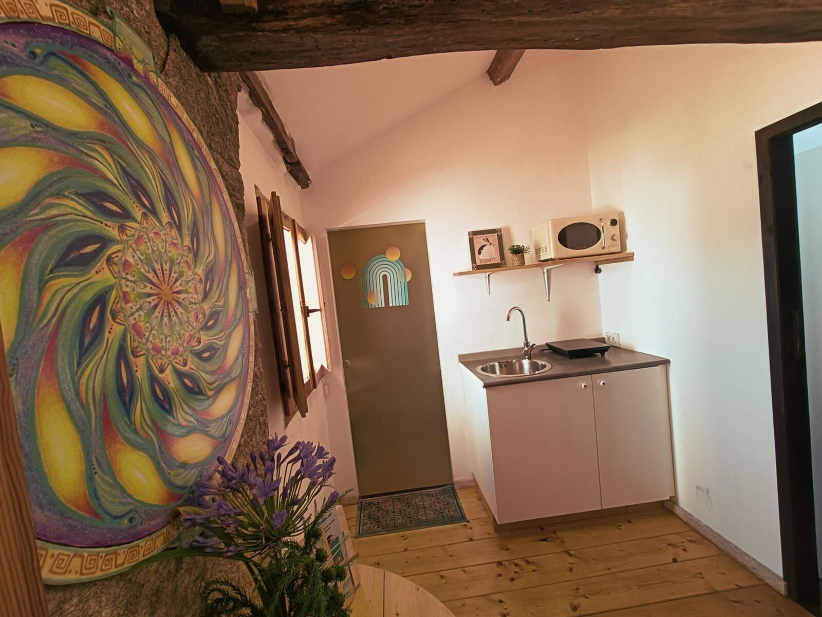 Una cocina compacta con un lavamanos, microondas y armarios, un cuadro abstracto y colorido en la pared, y una puerta con diseño decorativo.