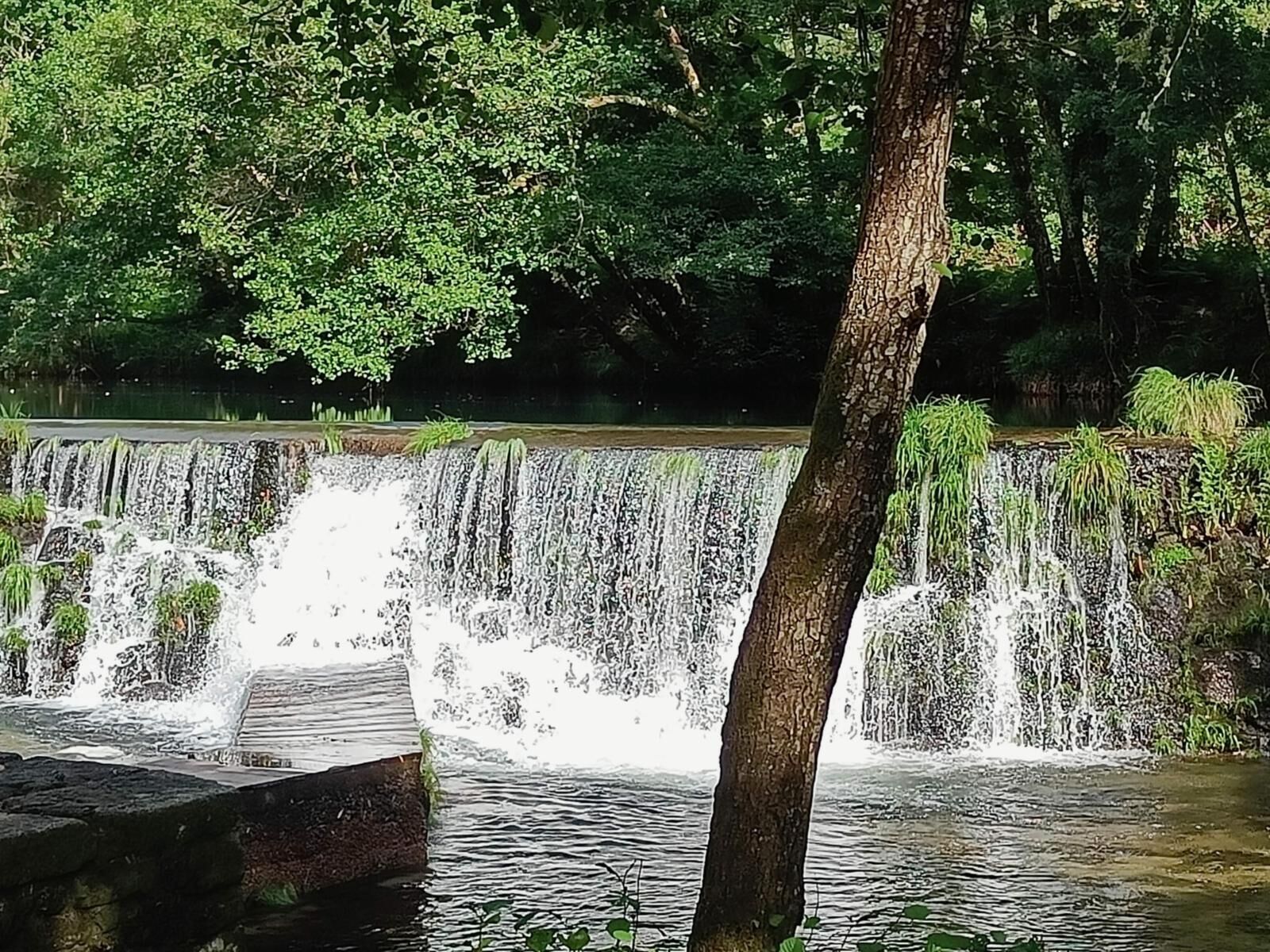 A waterfall cascading over a stone barrier into a pond, surrounded by lush greenery and trees.